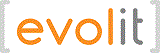 Logo EVOLIT Consulting GmbH