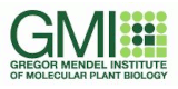 Logo Gregor Mendel Institut für Molekulare Pflanzenbiologie